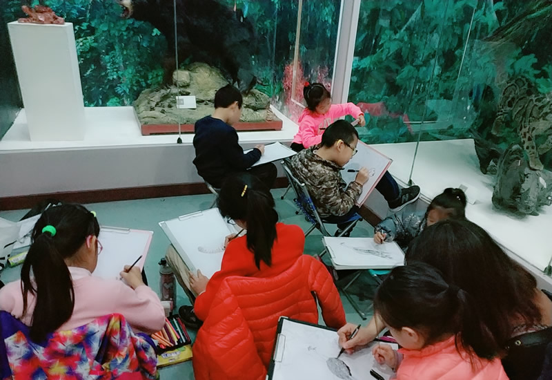 小画童儿童美术北京自然博物馆写生